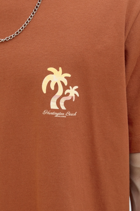 Jack & Jones jorcanggu summer picture tee ss cn